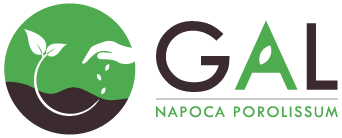 LAG Napoca